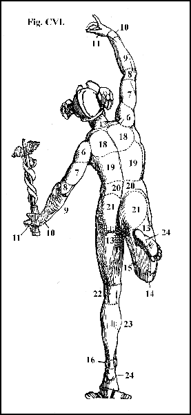 Fig. CVI.