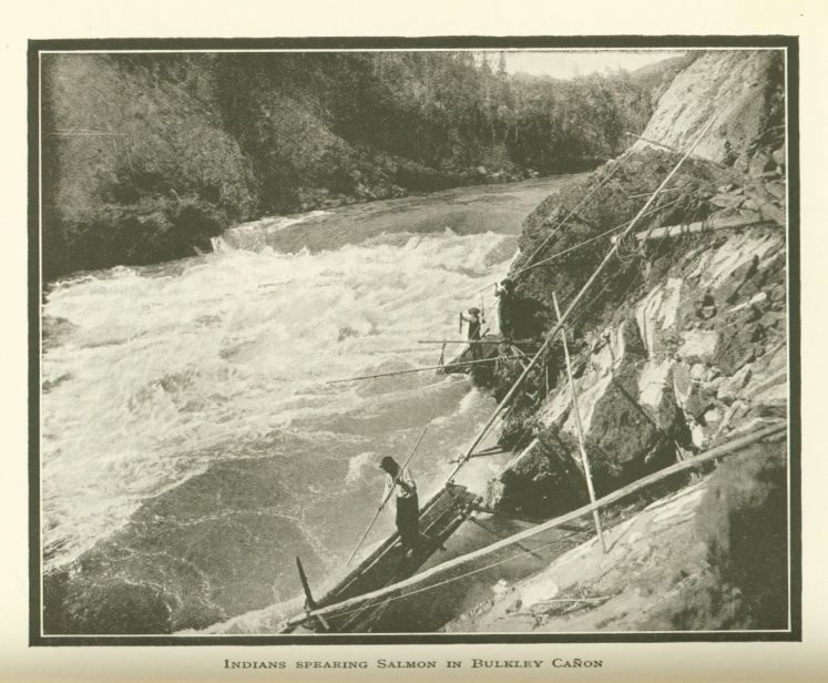 Indians spearing Salmon in Bulkley Cañon