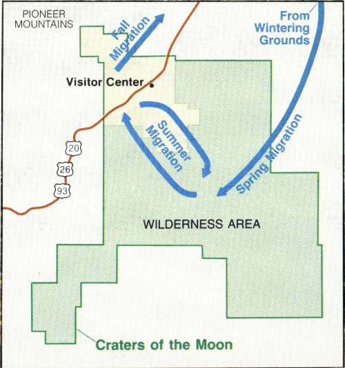 {Map showing fall, summer, and spring migrations}