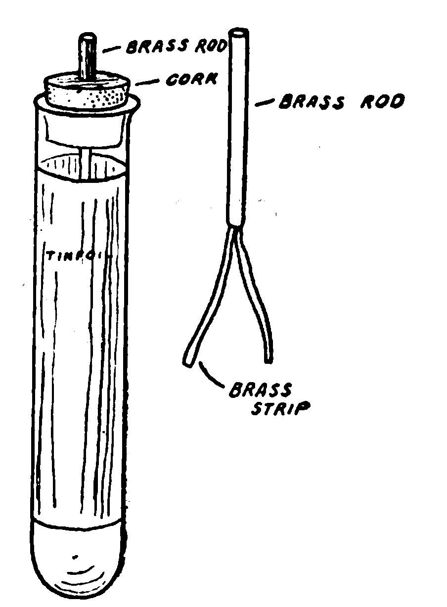 Fig. 224.—A Test-Tube Leyden Jar.