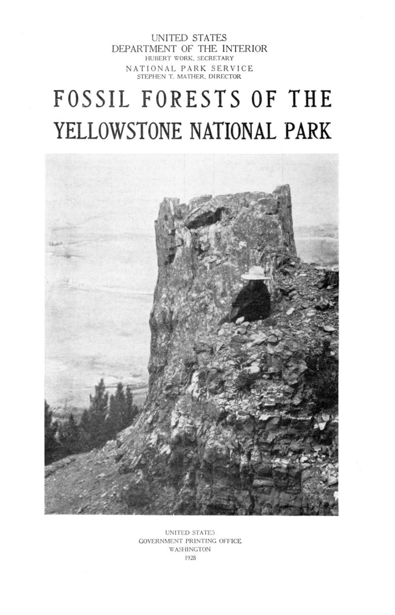 The Fossil Forests of the Yellowstone National Park