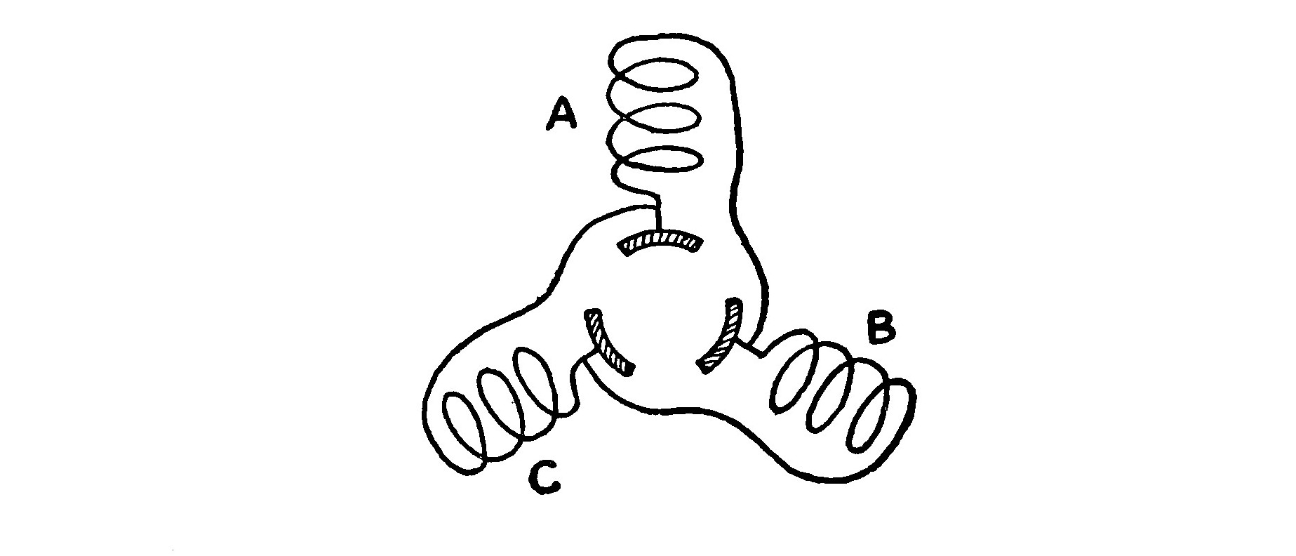 FIG. 23.—Diagram showing how the coils are connected together so as to form a continuous winding.