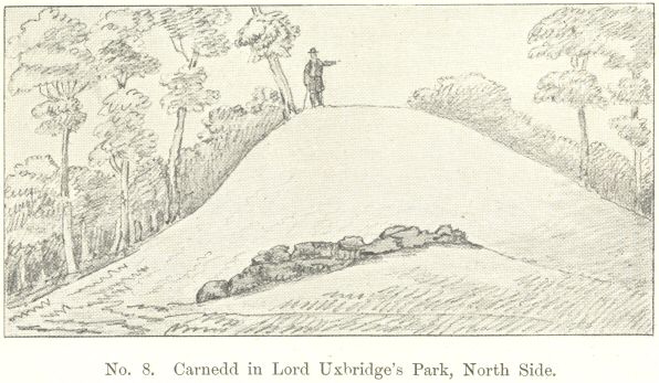 No. 8.  Carnedd in Lord Uxbridge’s Park, North Side