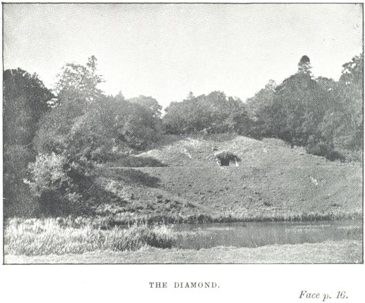 The Diamond