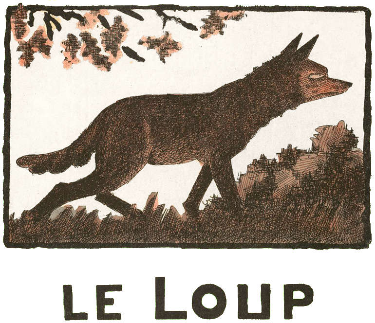 LE LOUP