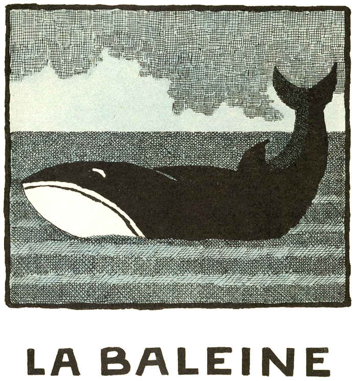 LA BALEINE