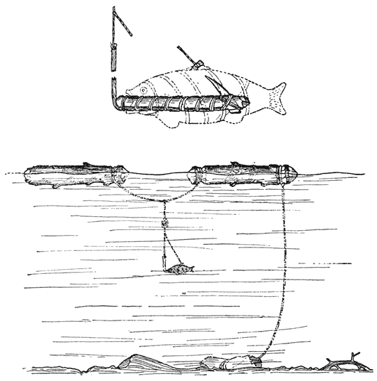 Figure 1. Night set-line.