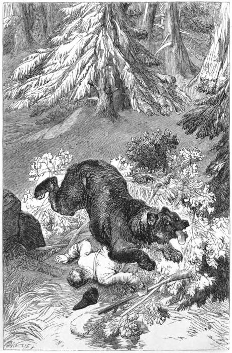 The Project Gutenberg eBook of Forest Scenes in Norway and Sweden, by The  Rev. Henry Newland.
