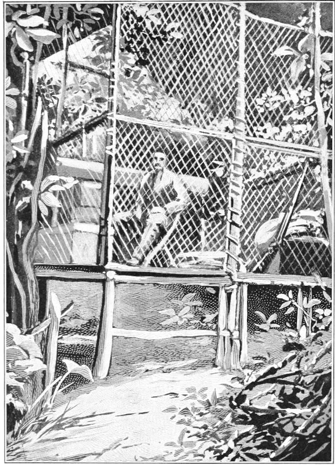 WAITING AND WATCHING IN THE CAGE (From a Photograph.)
