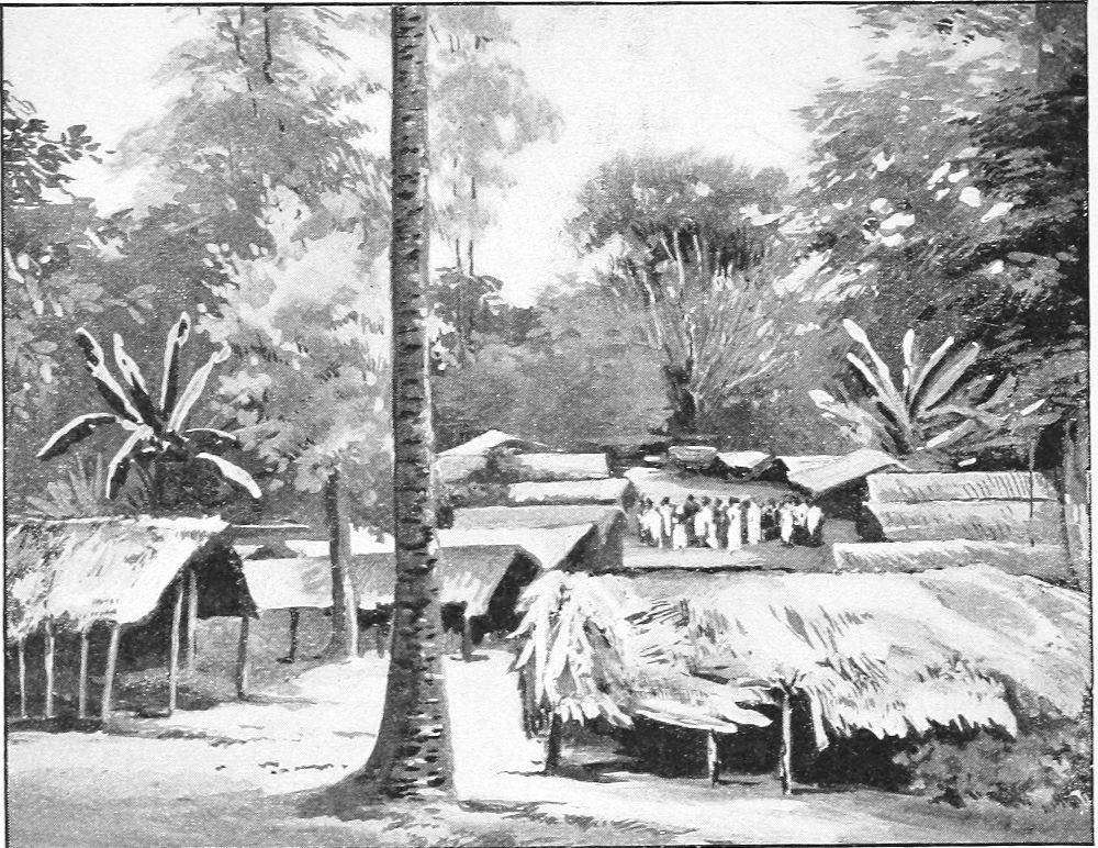 Native Village, Interior of Nyanza (From a Photograph.)