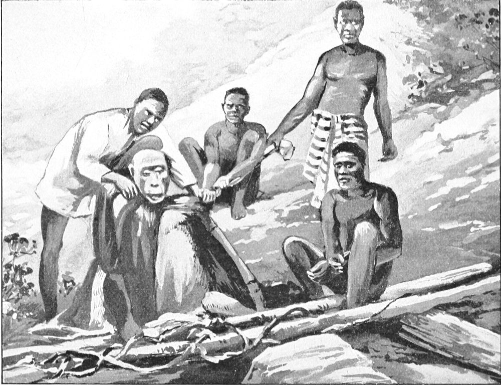 NATIVES SKINNING A GORILLA (From a Photograph.)