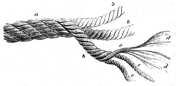 Figure showing a cable