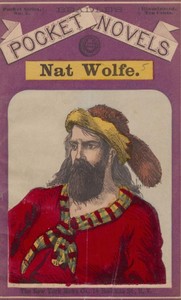 Nat Wolfe; or, The gold hunters: A romance of Pike's Peak and New York
