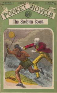The skeleton scout; or, The border block