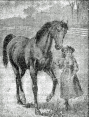 THE LITTLE LADY OF THE HORSE.