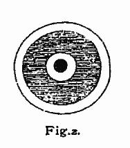 Fig. 2: section of a cell