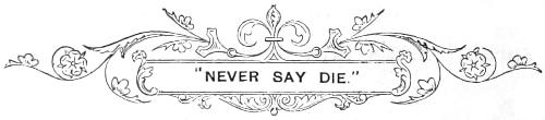 “NEVER SAY DIE.”