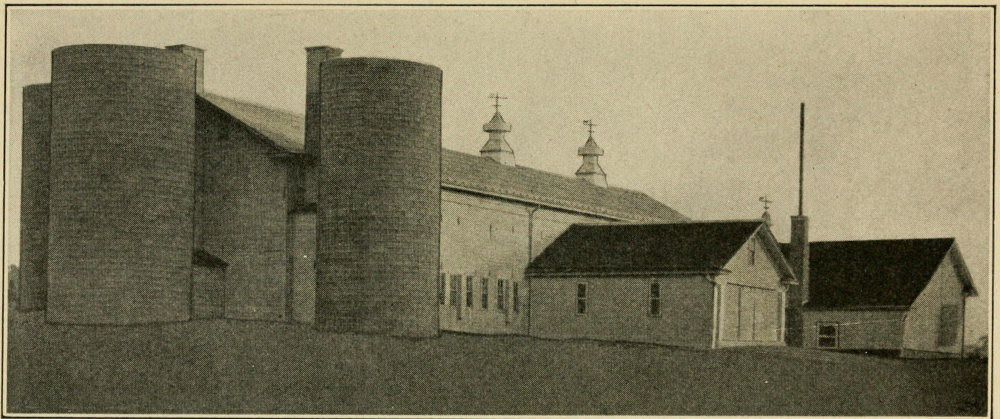 Rear view of the barn showing the arrangement of silos