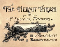 The hermit thrush