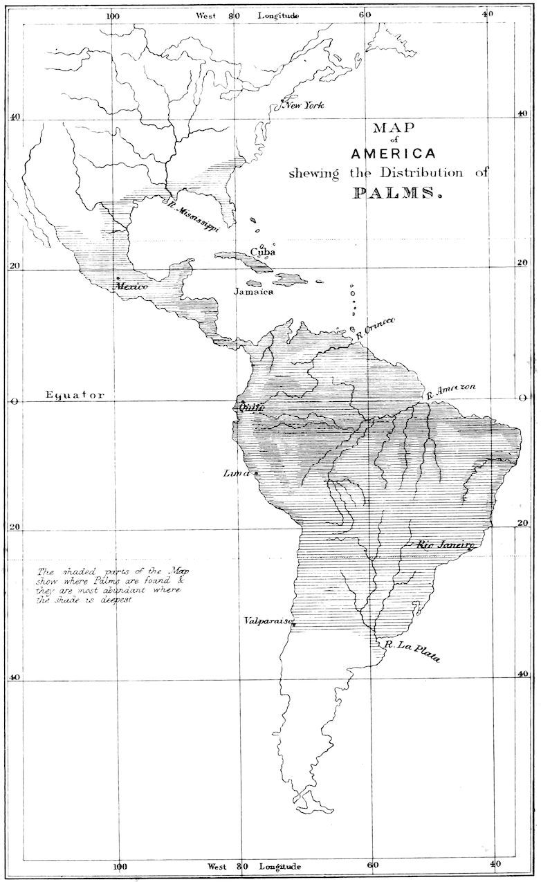 MAP of AMERICA shewing the Distribution of PALMS.