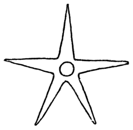 Elementary picture of a starfish.
