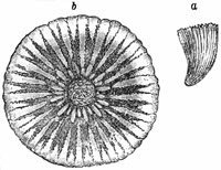 Fig. 170.