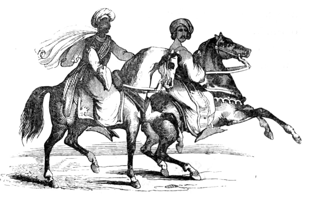 Dos homens y sus caballos