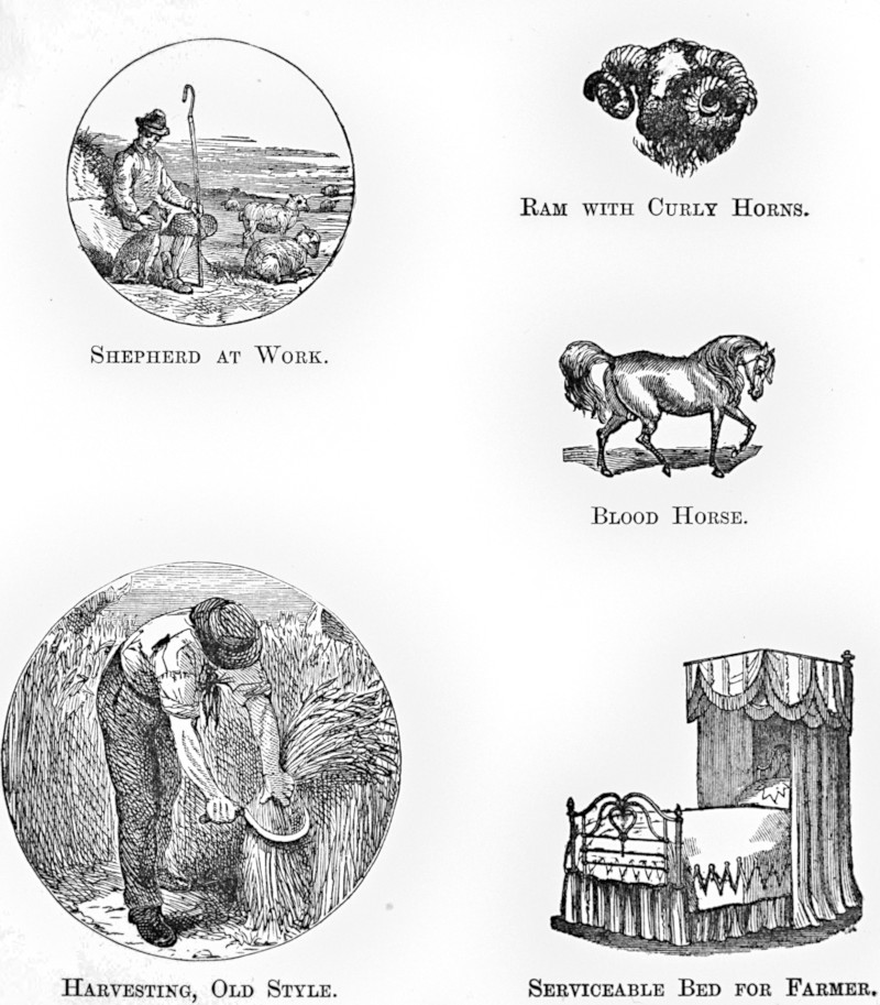 Five small images, titled SHEPHERD AT WORK, RAM WITH CURLY HORNS, BLOOD HORSE, HARVESTING, OLD STYLE, and SERVICEABLE BED FOR FARMER.