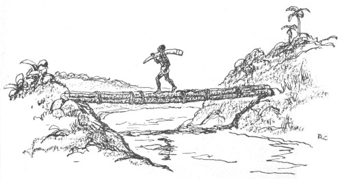 boy crossing bridge