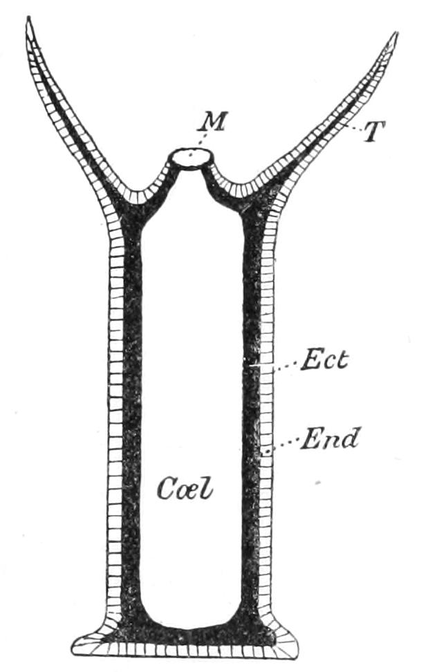 fig125