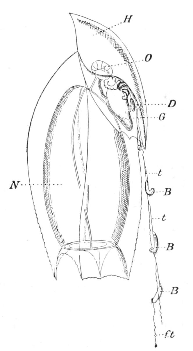 fig142