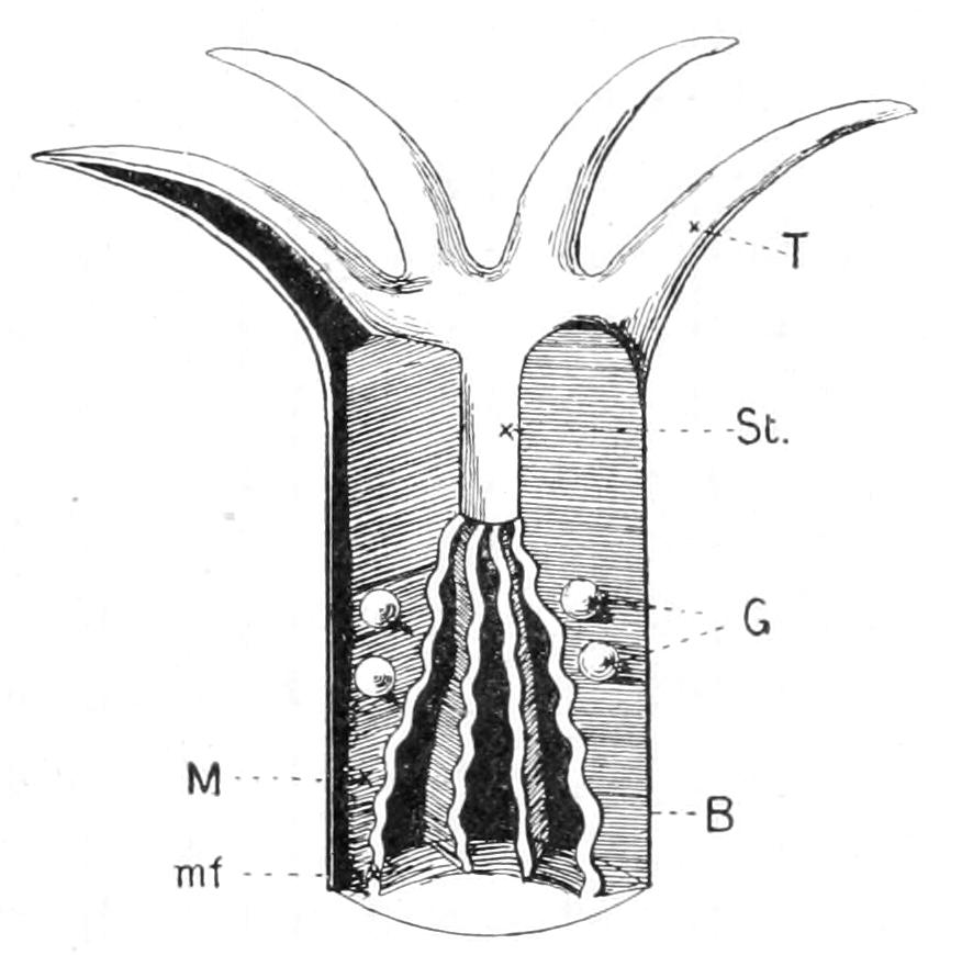 fig146