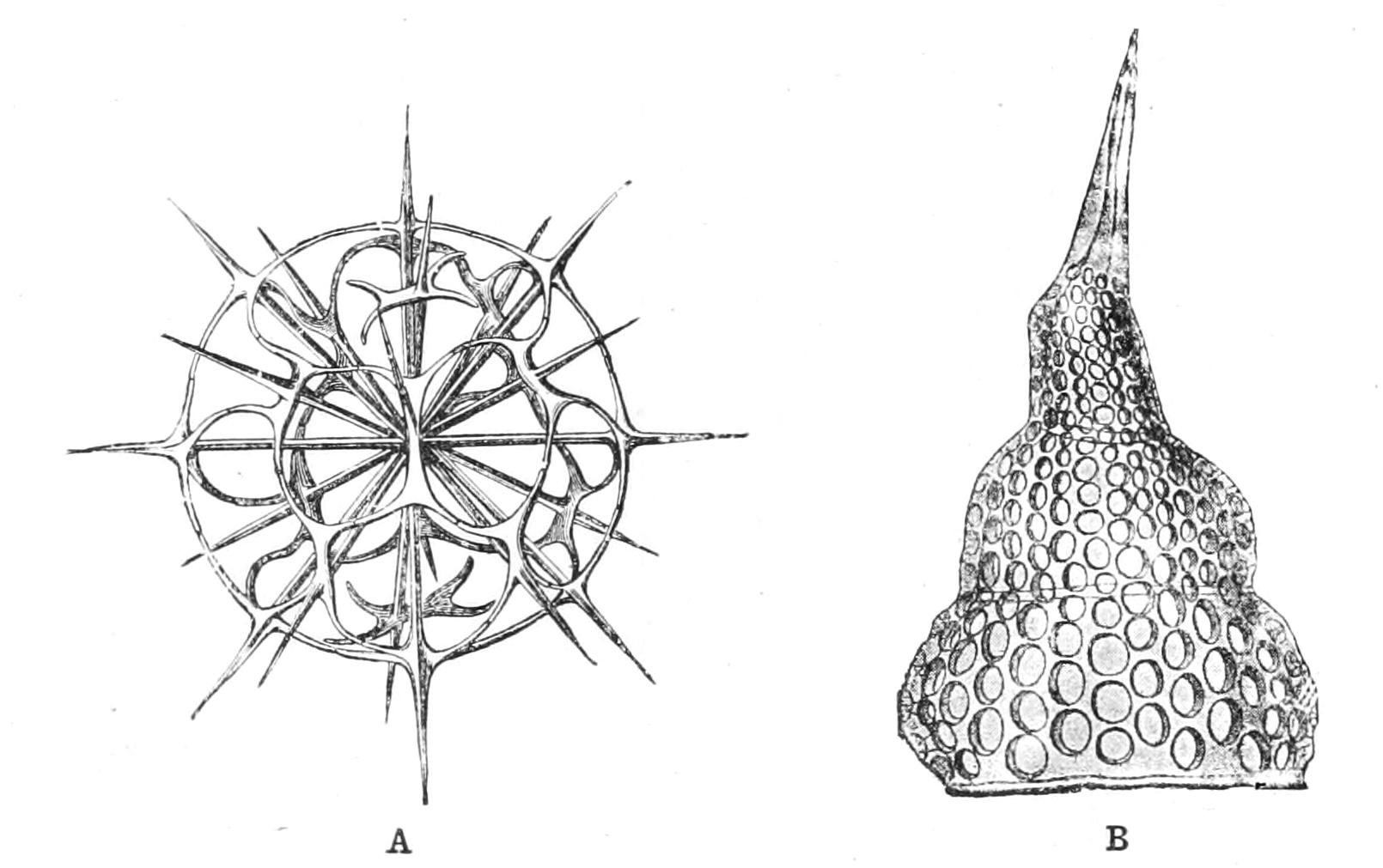 fig25
