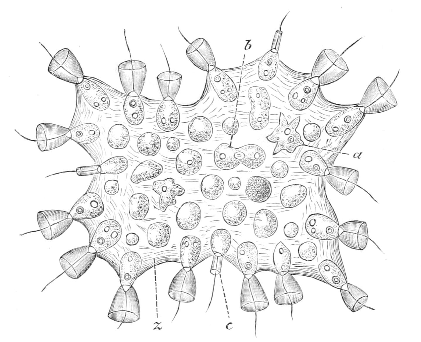 fig75
