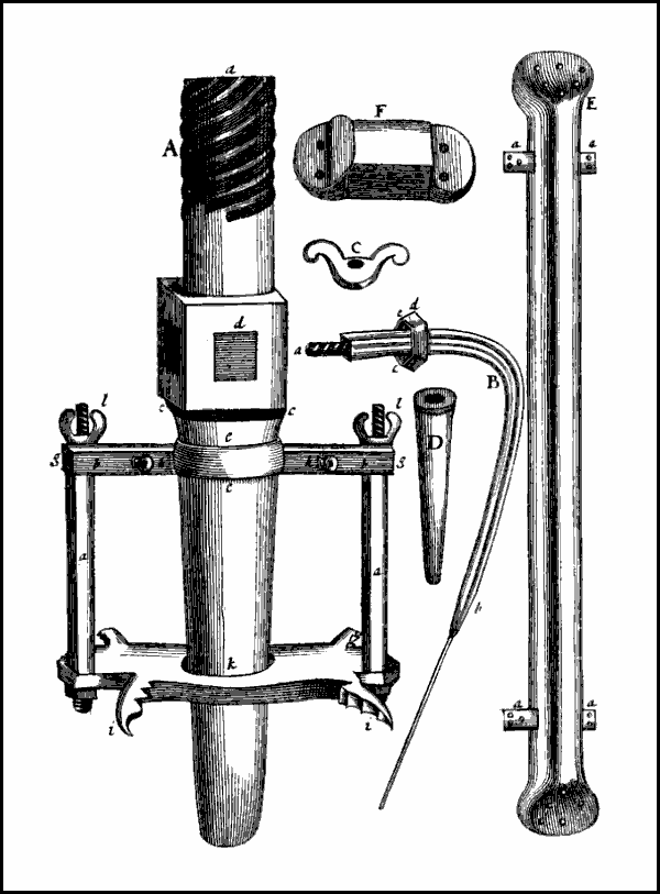 Image: Plate 8.