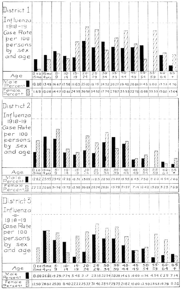 District 1 Influenza 1918–19 Case Rate per 100 persons by sex and age<br>District 2 Influenza 1918–19 Case Rate per 100 persons by sex and age<br>District 3 Influenza 1918–19 Case Rate per 100 persons by sex and age