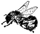 [Bee]