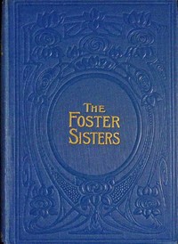 The foster-sisters :  A story in the days of Wesley and Whitfield