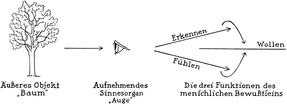 Drei Funktionen des   menschlichen Bewusstseins