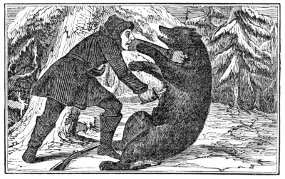 fighting a bear