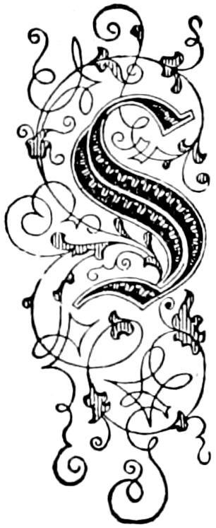 Illustrated capital S