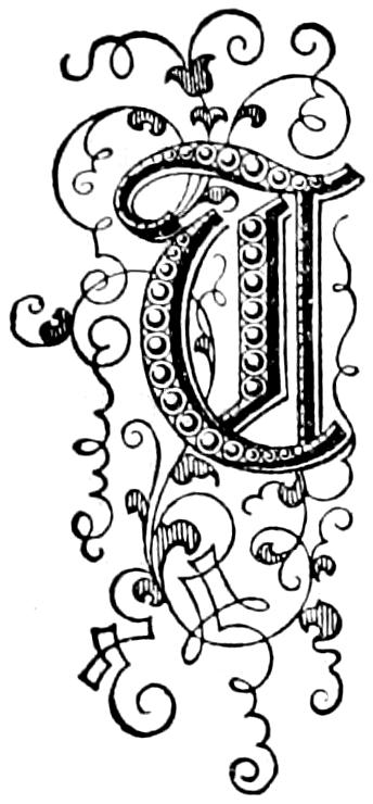 Illustrated capital T