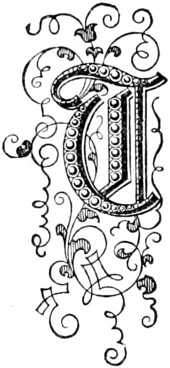 Illustrated capital T