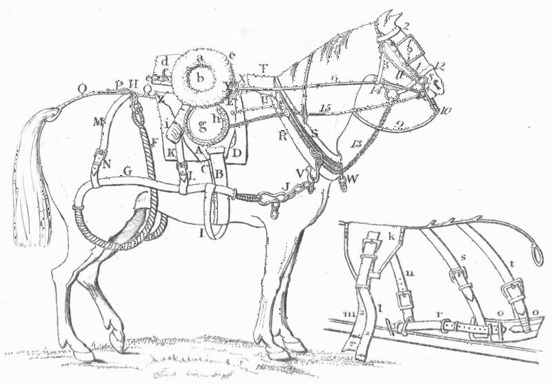 Side view of a gun horse