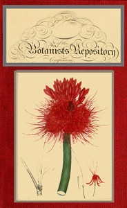 The botanist's repository for new and rare plants; vol. 5
