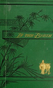In the brush :  Or, old-time social, political, and religious life in the southwest