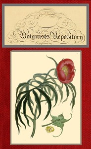 The botanist's repository for new and rare plants; vol. 8 [of 10]