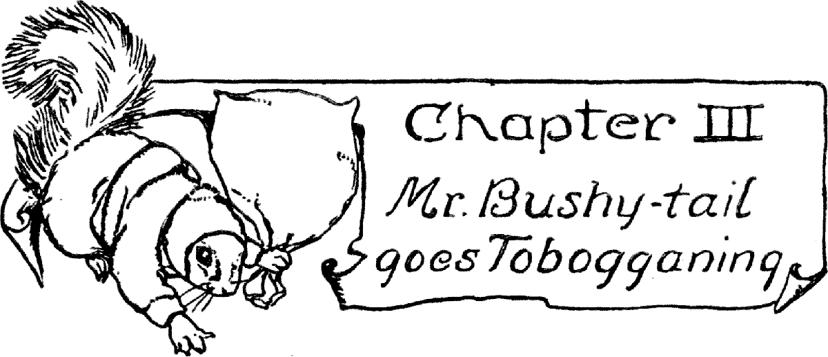 Chapter III Mr. Bushy-tail goes Tobogganing