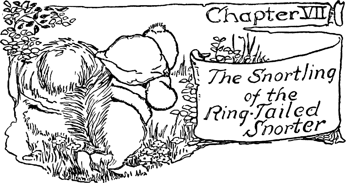 Chapter VII The Snortling of the Ring-Tailed Snorter