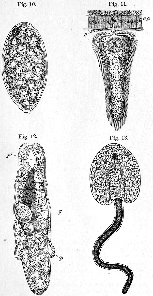 Fig. 10. Fig. 11. Fig. 12. Fig. 13.